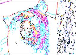 photoshop濾鏡教程-風格化