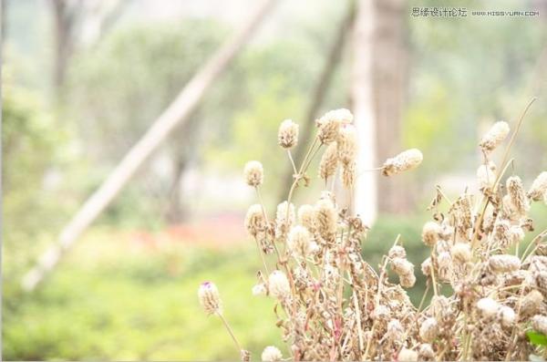 Photoshop詳細解析色階命令的使用原理