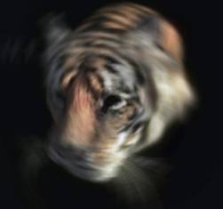 photoshop濾鏡教程-模糊