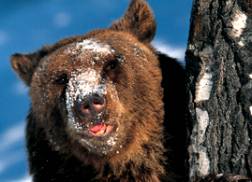 photoshop濾鏡教程-模糊