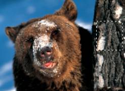 photoshop濾鏡教程-圖案生成器