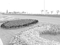 photoshop調色教程