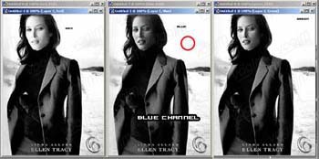 photoshop摳圖教程-通道摳圖實例