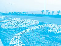 photoshop調色教程