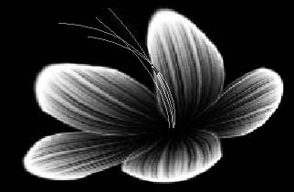 Photoshop濾鏡教程-打造奇麗花朵