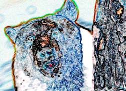 photoshop濾鏡教程-風格化