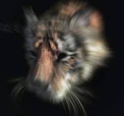 photoshop濾鏡教程-模糊