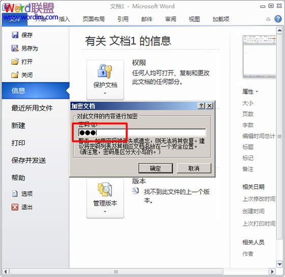 Word2010文檔加密
