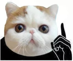 如何選購無線WIFI路由器?