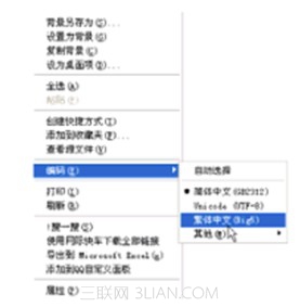 解決瀏覽網頁時出現的亂碼