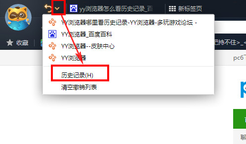 yy瀏覽器怎么看歷史記錄 武林網
