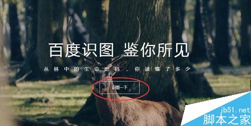 百度怎么搜圖識別？百度識圖功能教程