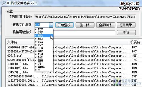 臨時文件分類搜索 輕松淘盡IE緩存資源