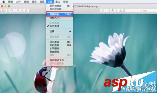 mac系統中怎么用自帶的預覽工具將圖片變成黑白色? mac