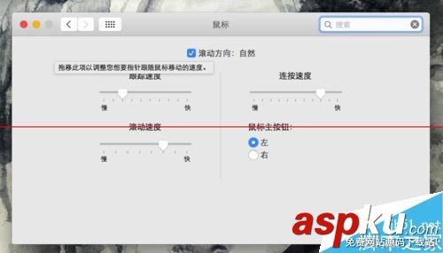 蘋果Mac系統怎么調整鼠標滾輪方向? mac,鼠標滾輪反向,mac滾輪方向,mac鼠標滾輪設置