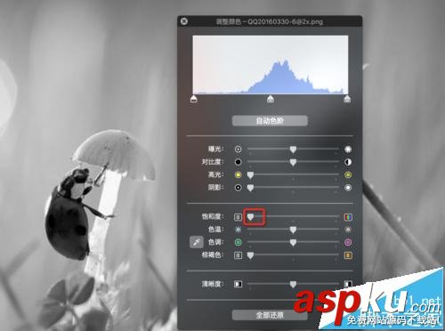 mac系統中怎么用自帶的預覽工具將圖片變成黑白色? mac