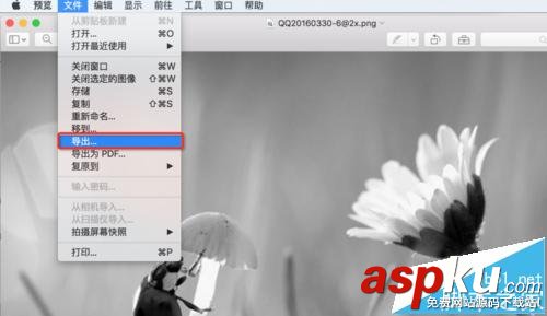 mac系統中怎么用自帶的預覽工具將圖片變成黑白色? mac