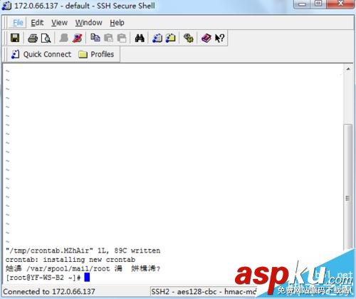 linux系統,計劃任務