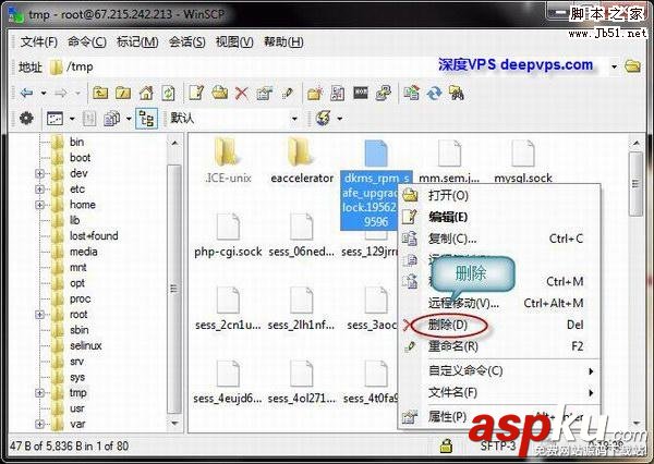 WinSCP,Linux,VPS