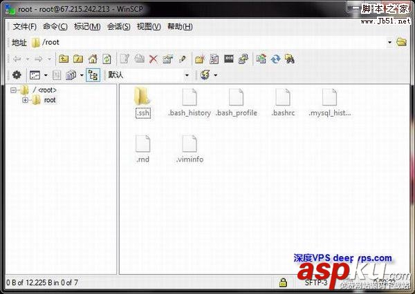 WinSCP,Linux,VPS