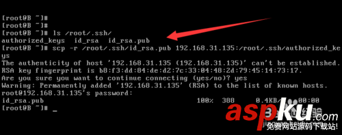 Linux,ssh命令,ssh配置