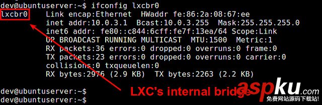 在Ubuntu系統中使用LXC容器的教程 Ubuntu,容器