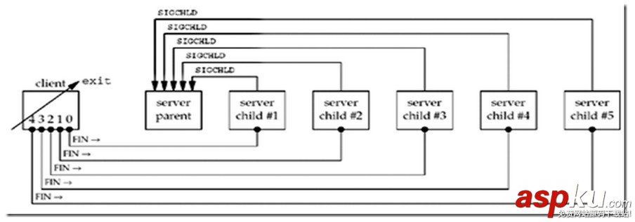 Linux,wait(),waitpid()