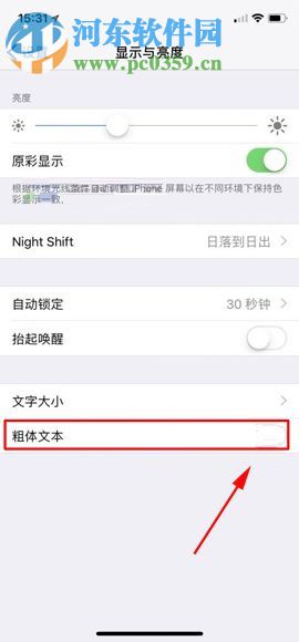蘋果iPhone X設置粗體字體的圖文教程