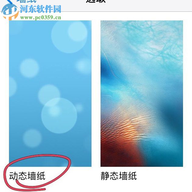 蘋果手機設置動態壁紙的方法