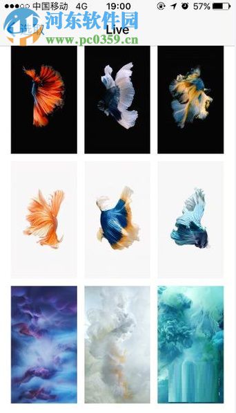 蘋果手機更換桌面墻紙的方法