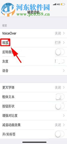 蘋果iPhone X關閉屏幕縮放功能的圖文教程