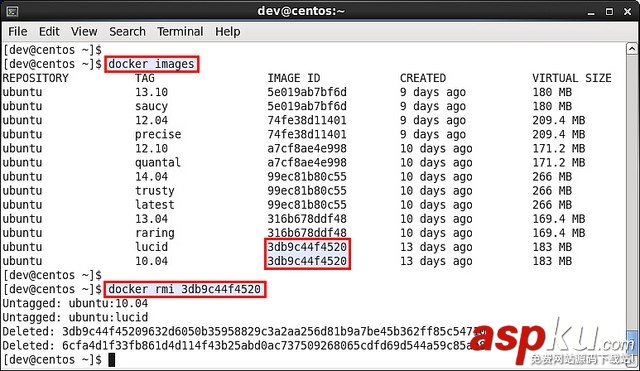在CentOS或Fedora上運行Docker容器的方法與步驟 CentOS,Fedora,Docker容器
