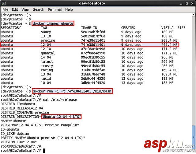 在CentOS或Fedora上運行Docker容器的方法與步驟 CentOS,Fedora,Docker容器