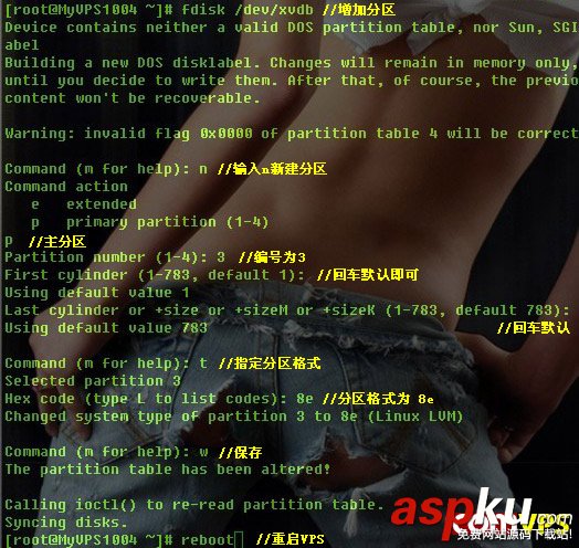 CentOS VPS新硬盤分區與掛載教程 CentOS,VPS,硬盤分區,硬盤掛載