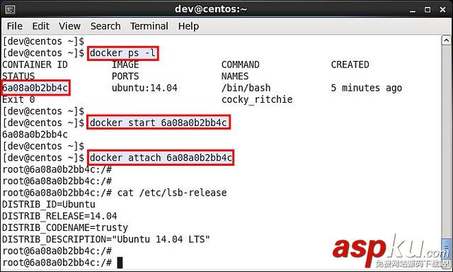 在CentOS或Fedora上運行Docker容器的方法與步驟 CentOS,Fedora,Docker容器