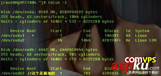 CentOS VPS新硬盤分區與掛載教程 CentOS,VPS,硬盤分區,硬盤掛載