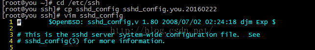 優化centos遠程SSH連接 centos,SSH,遠程連接