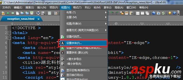 ultraedit字體大小怎么設置呢? ultraedit,字體
