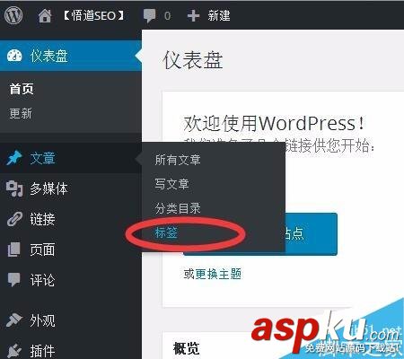 wordpress標(biāo)簽如何使用呢?wordpress標(biāo)簽使用方法 wordpress標(biāo)簽