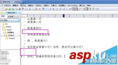 editplus怎么使用正則替換規(guī)則快速刪除空白行? editplus,空白行