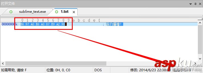 Sublime Text 2 官方安裝版綠化與漢化圖文教程  Sublime,Text2