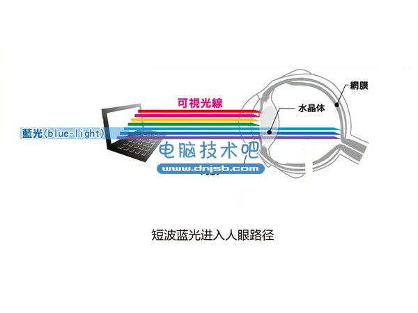 pc_grass_01_topbanner13 作死的節(jié)奏?使用顯示器最容易忽視的問題