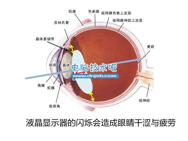 32fa828ba61ea8d350ea452c9 作死的節(jié)奏?使用顯示器最容易忽視的問題