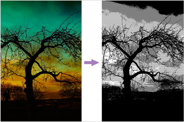 優(yōu)動(dòng)漫PAINT個(gè)人版與EX版之間有什么差異?詳解看這里!