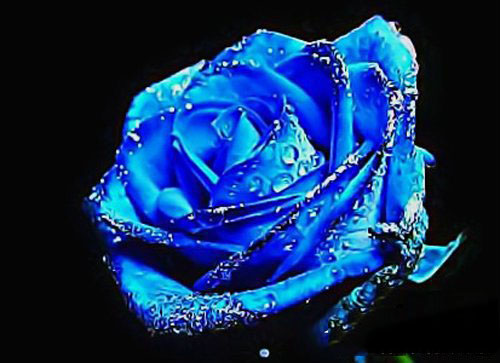 Matlab極坐標曲線繪制的方法