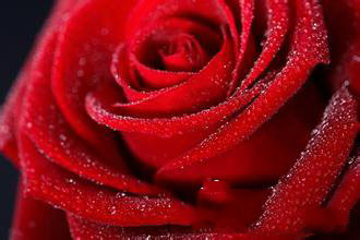 Matlab極坐標曲線繪制的方法