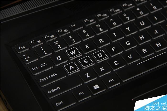 terrans force terrans force