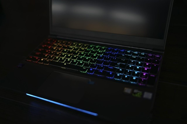 機(jī)械革命深海幽靈Z2評測