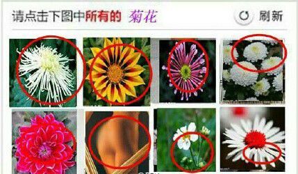 12306驗證碼圖片刷新不出來怎么辦 12306驗證碼刷新頻率太快