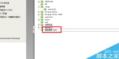 DW站點中如何新建文件夾和修改、刪除、移動文件